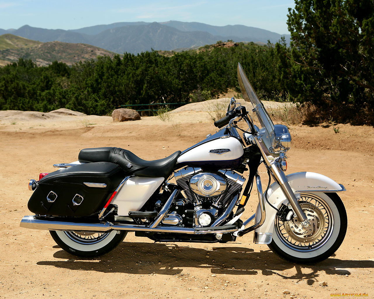, harley, davidson